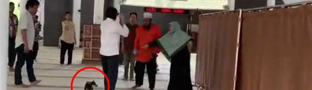 Seorang Wanita Bawa Masuk Anjing Ke Masjid Al Munawaroh di Sentul Bogor