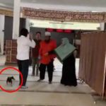 Seorang Wanita Bawa Masuk Anjing Ke Masjid Al Munawaroh di Sentul Bogor