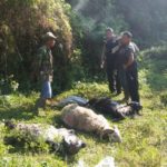 Ditemukan 3 Domba Mati di Cadas Pangeran