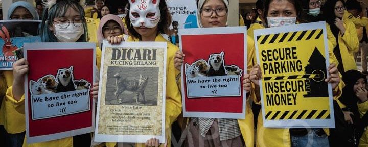 Mahasiswa UI demo soal kebijakan penertiban hewan liar oleh rektorat yang dinilainya tidak adil/foto:tempo.co