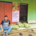 Memuaskan, Ditengah Cuaca Ekstrim Petani Berdaya Desa Kertamukti Panen Perdana