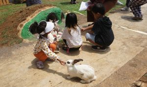Keceriaan Murid DS Public Speaking Center saat Belajar Bahasa Inggris Sambil Bermain dengan Puluhan Kelinci 