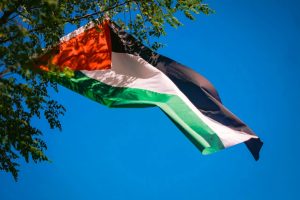 Palestina Menanti Solusi Mengakar