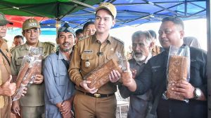 Harga Tembakau Anjlok, Wabup Sumedang Fajar Aldila Janji Hadir Bantu Petani