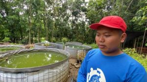 Gurame Akbar: Jadi Akar Sosial dan Ekonomi Desa Terpencil di Sumedang