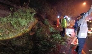 Bencana Pohon Tumbang dan Longsor di Sumedang, Akibatkan Macet dari Cigendel hingga Cadas Pangeran