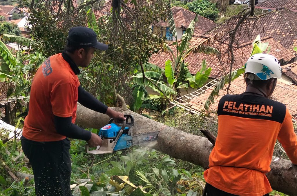 BPBD Sumedang Tangani Pohon Beringin Tumbang di Padaasih Conggeang, Personel TRC Diturunkan